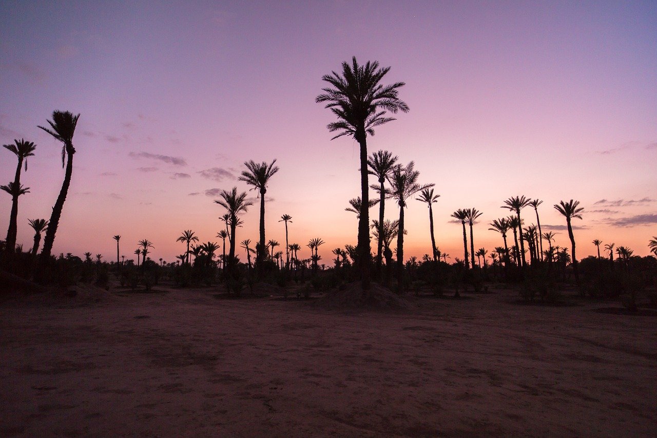 Escursioni in giornata da Marrakech