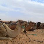 Tour nel deserto Marocco e grand sud 10 G / 9 N